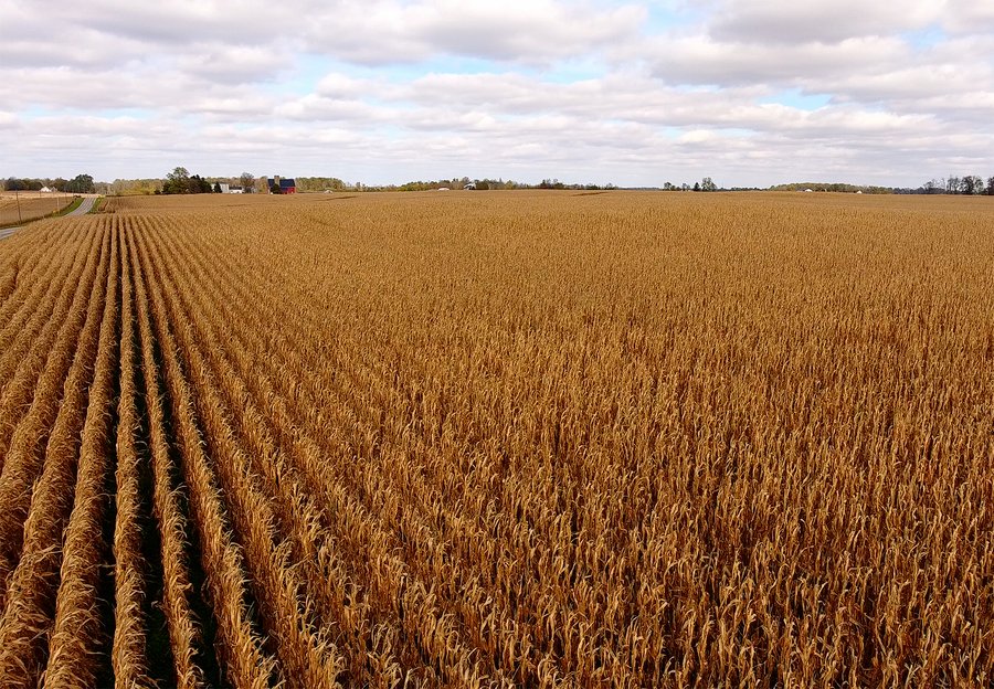 IMPORTANT INDIANA LAND AUCTION - 346+/- ACRES - 3 FARMS OFFERED IN 9 TRACTS IN WAYNE COUNTY, INDIANA